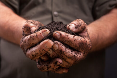Compost and Fertile Soil Building for Better Gardens Image